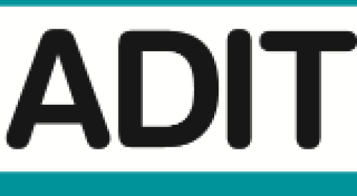 ADIT: Transfer Pricing Option (Module 3.03)