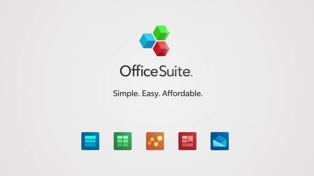 Microsoft Office Suite Proficiency
